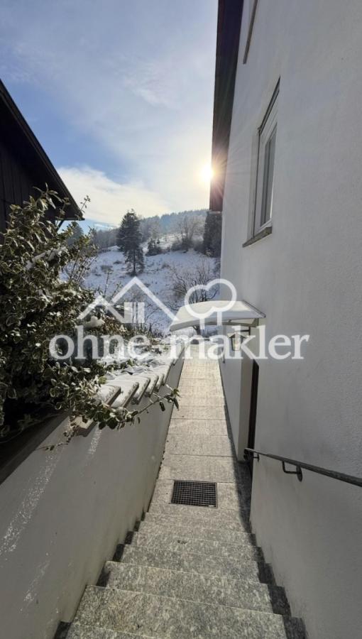 Treppenaufgang & Eingang EG