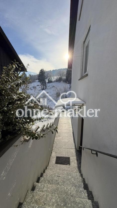 Treppenaufgang & Eingang EG