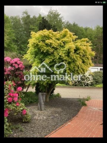 Blick auf die ruhige Straße