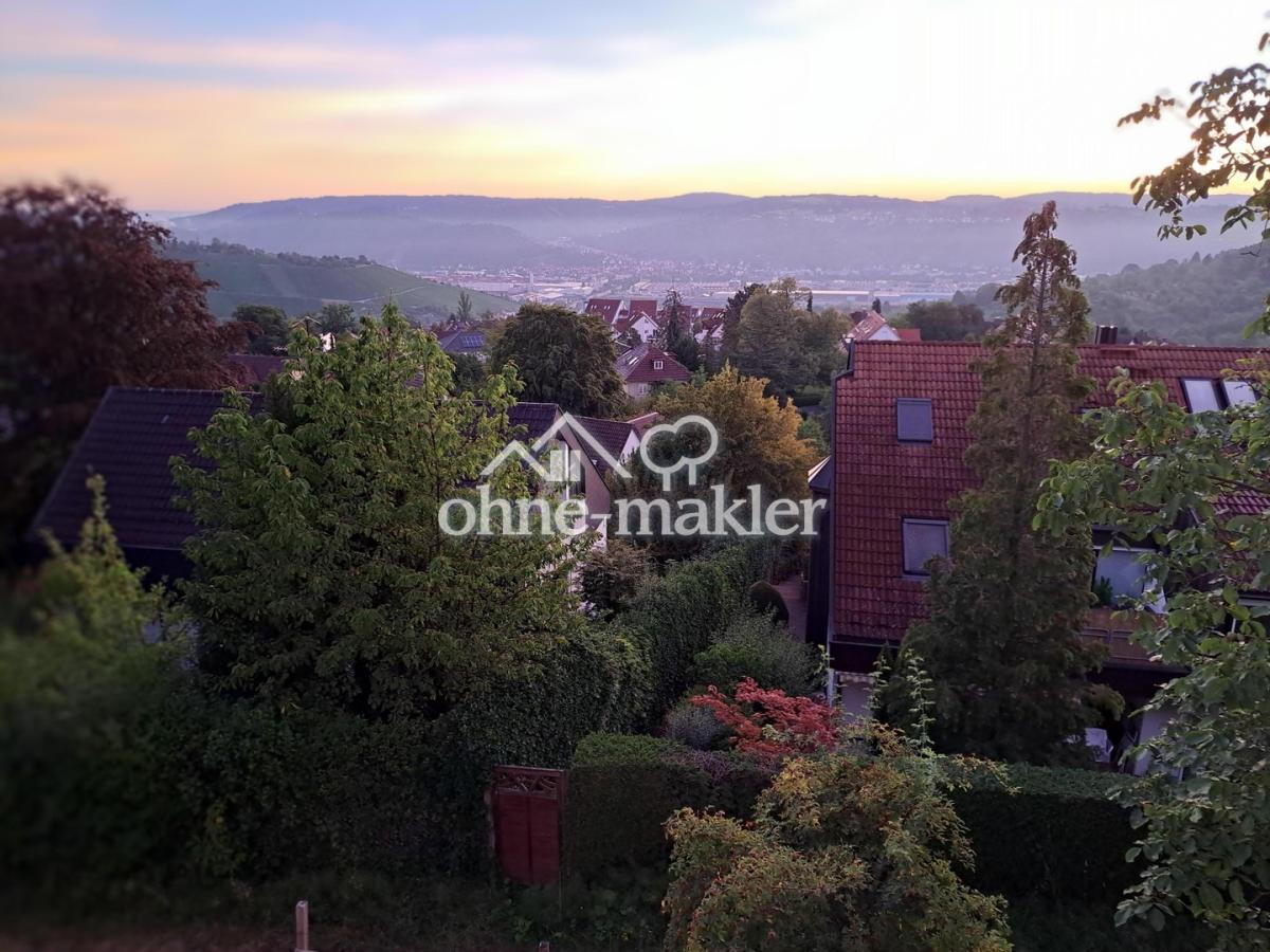 Blick ins Neckartal Ost