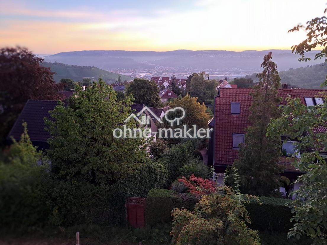 Blick ins Neckartal Ost