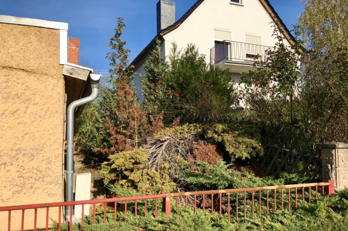 Schmale Grünfläche hinter den Anbauten