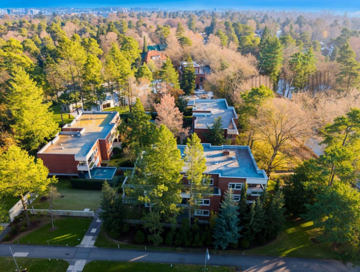 Drohnenansicht (Vorderseite) - (KI generiert)