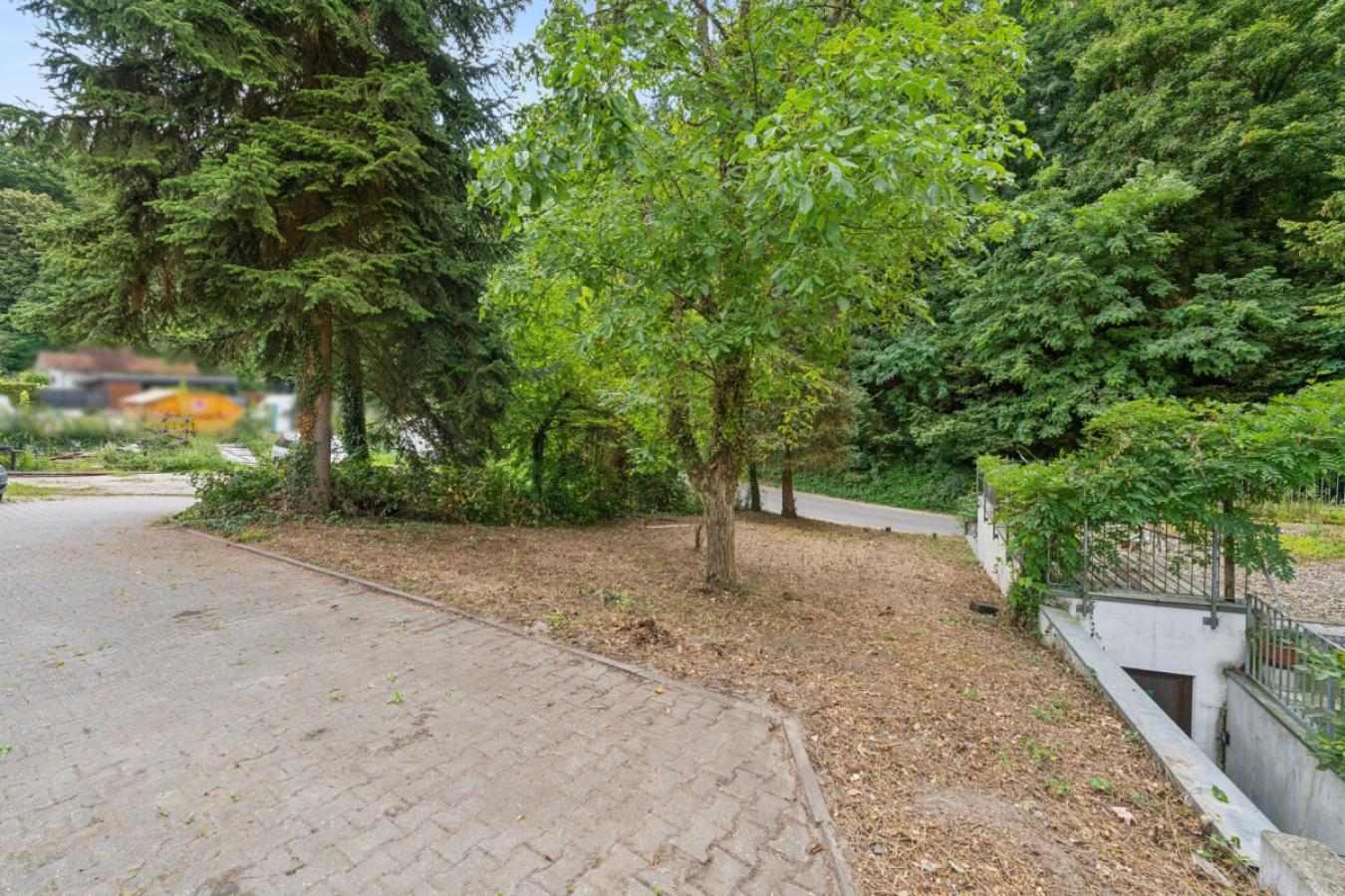 Grundstück vor dem Haus