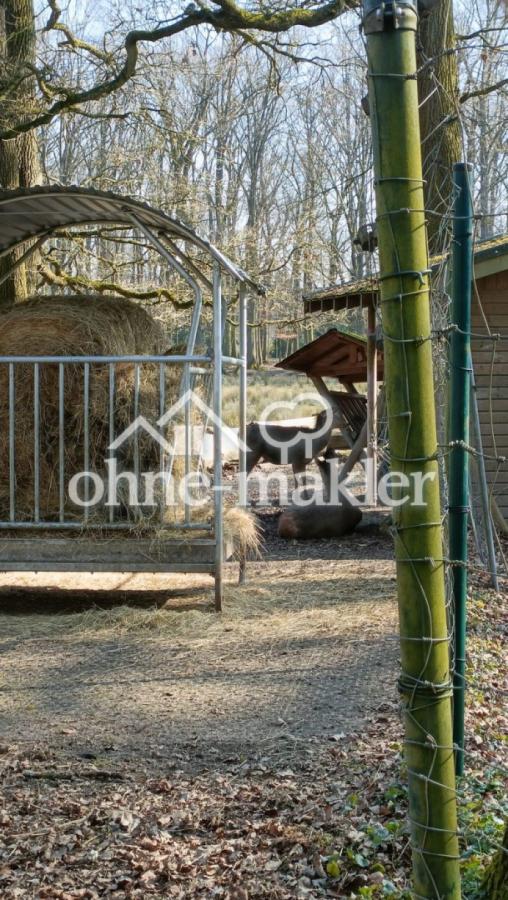 Tierpark bei Burg Wissem