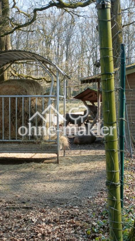 Tierpark bei Burg Wissem