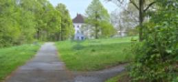 Umgebung (6)