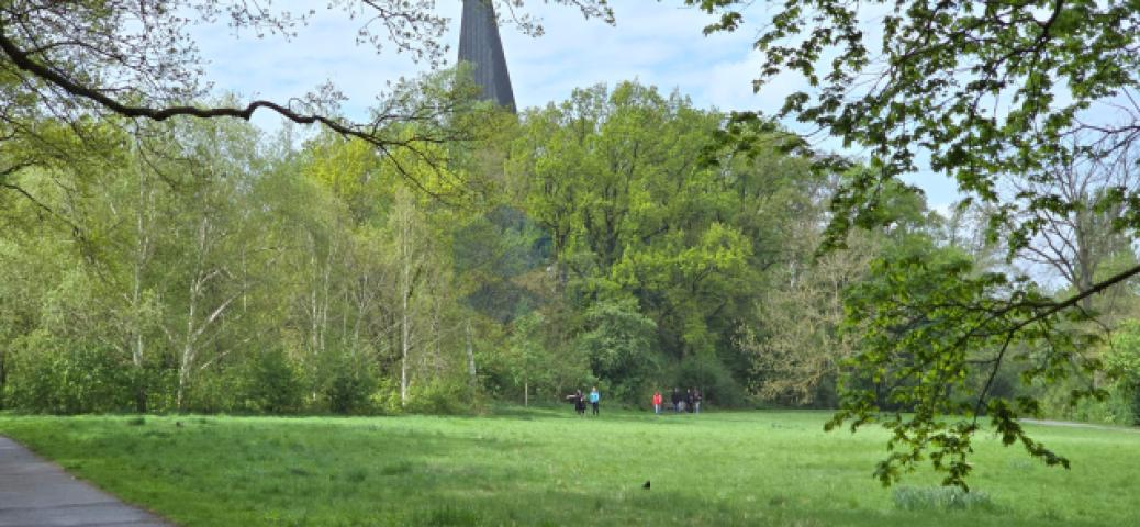 Umgebung (5)