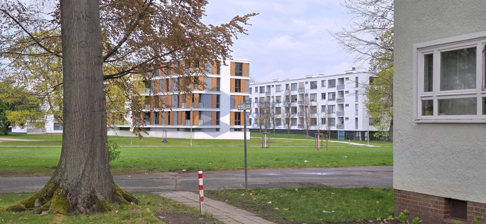 Umgebung (4)