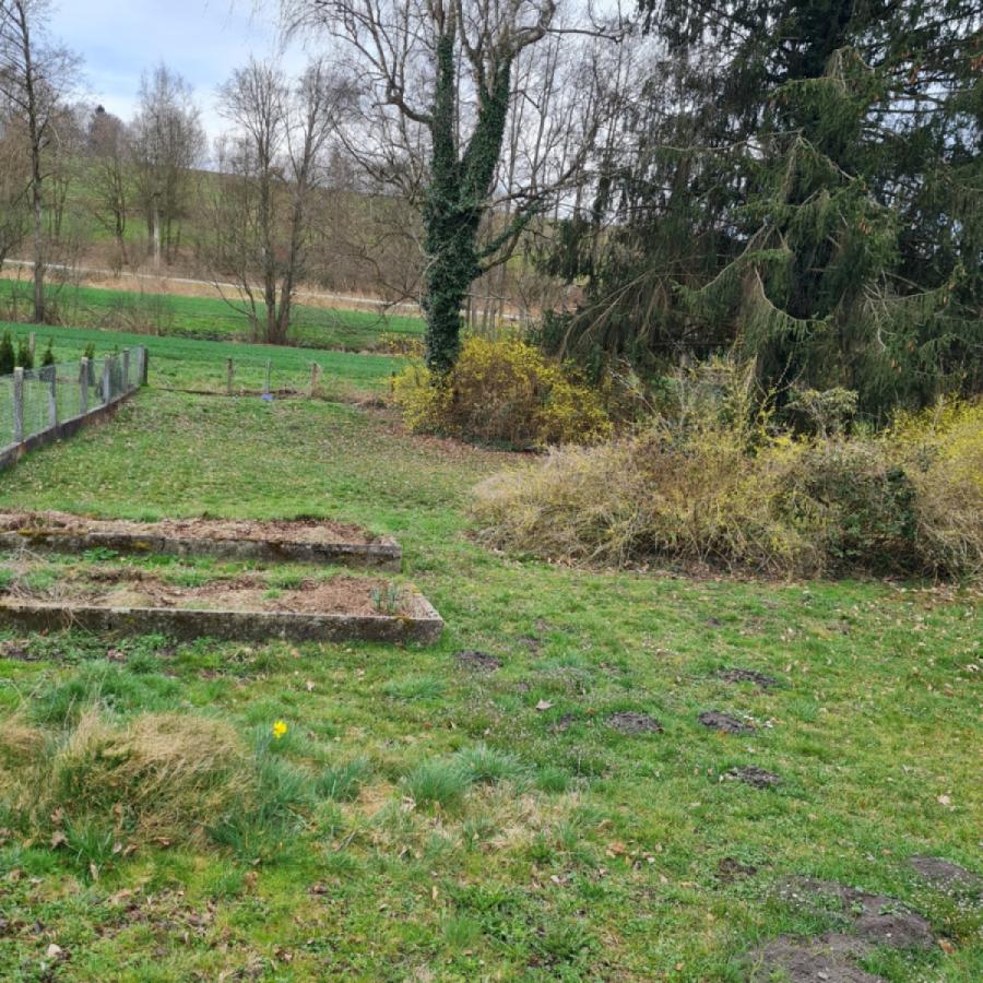 Grosszügiger Garten