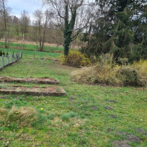 Grosszügiger Garten