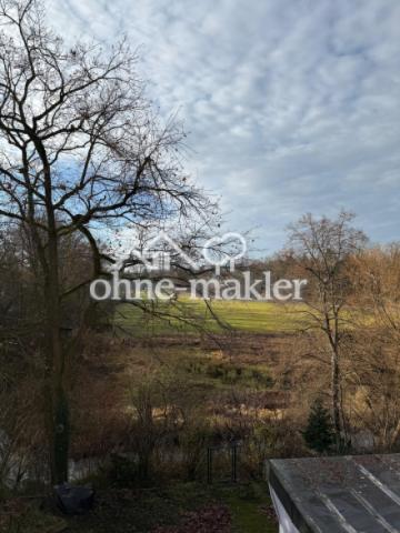 Blick vom Balkon ins Grüne
