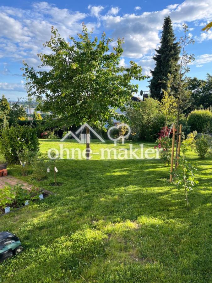 Blick von Garage nach Süden