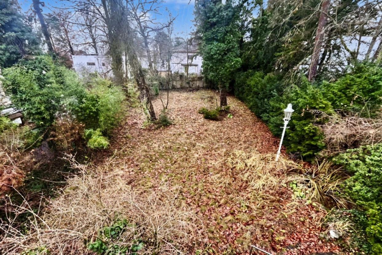 Blick in den Garten
