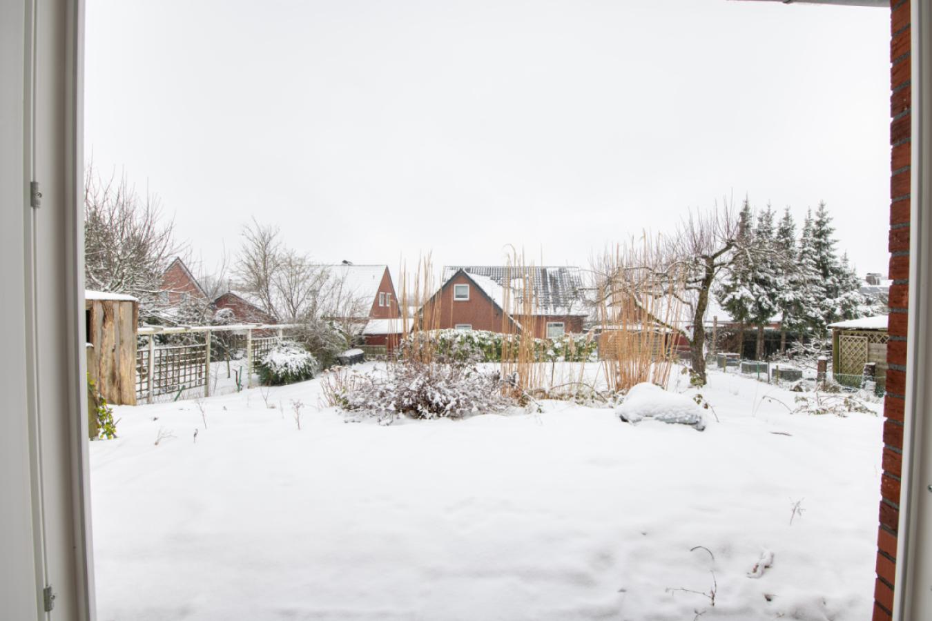Garten 1