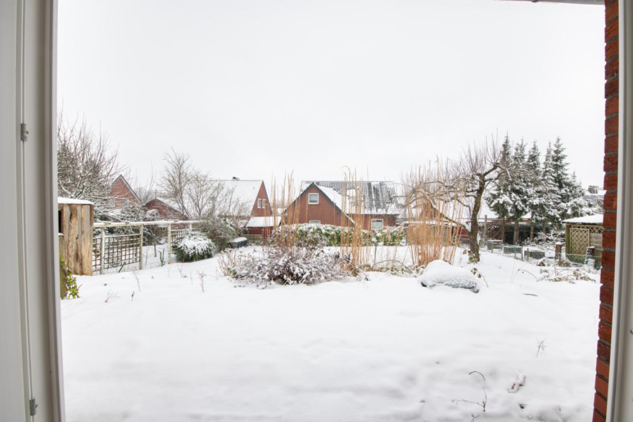 Garten 1