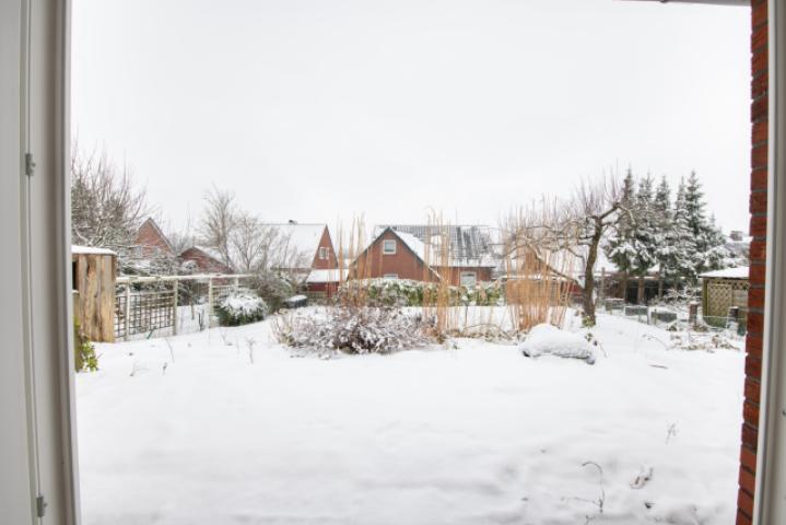 Garten 1