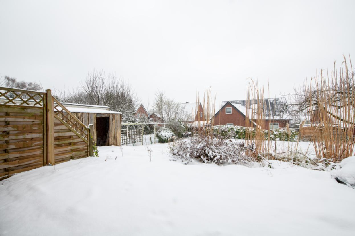 Garten 3