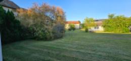 Direktes Umfeld im Sommer