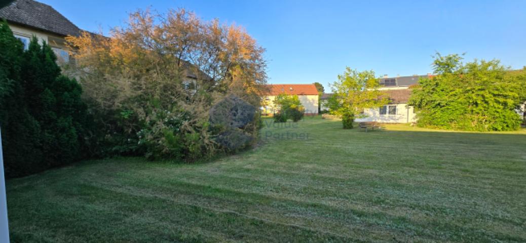 Direktes Umfeld im Sommer
