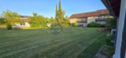 Direktes Umfeld im Sommer