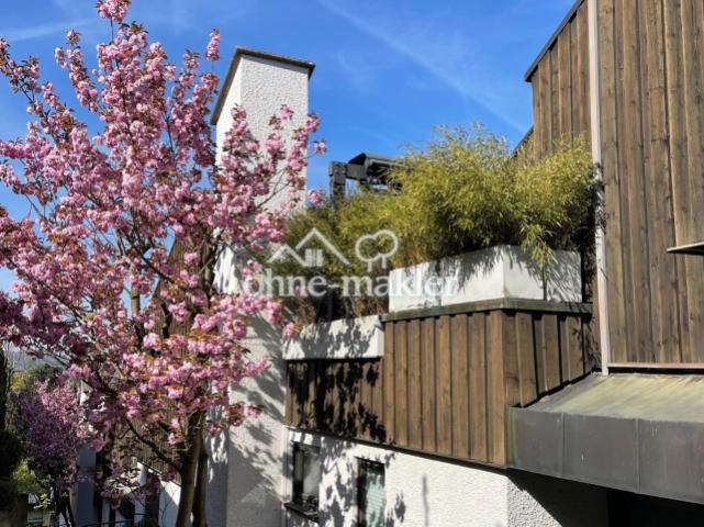 Im Frühjahrs-Zauber