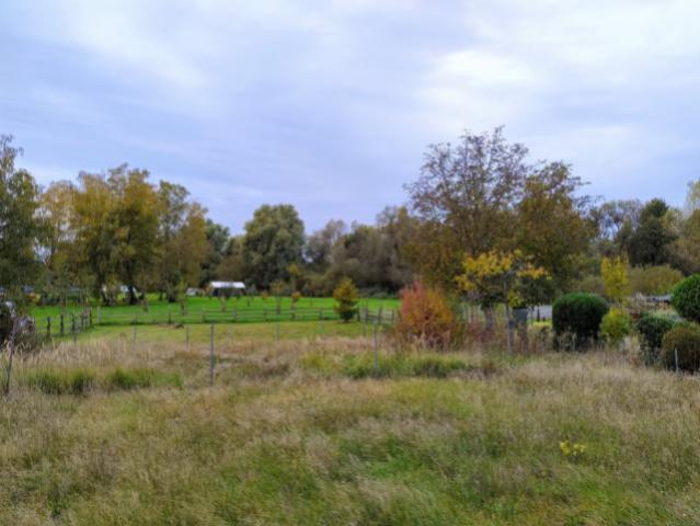 Ausblick