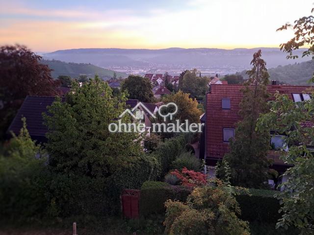 Blick ins Neckartal Ost