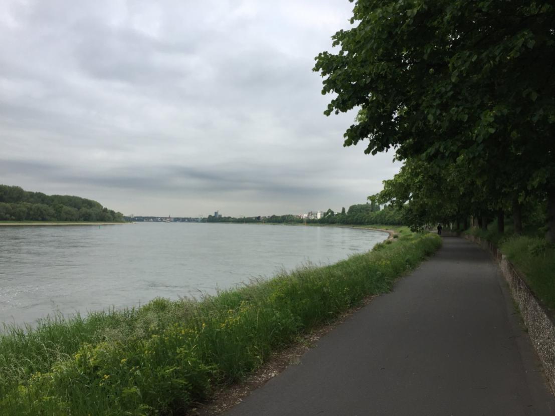 Rheinlandschaft