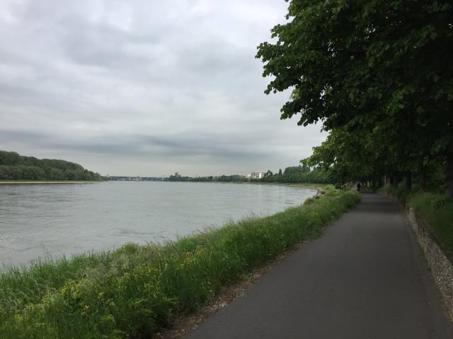 Rheinlandschaft