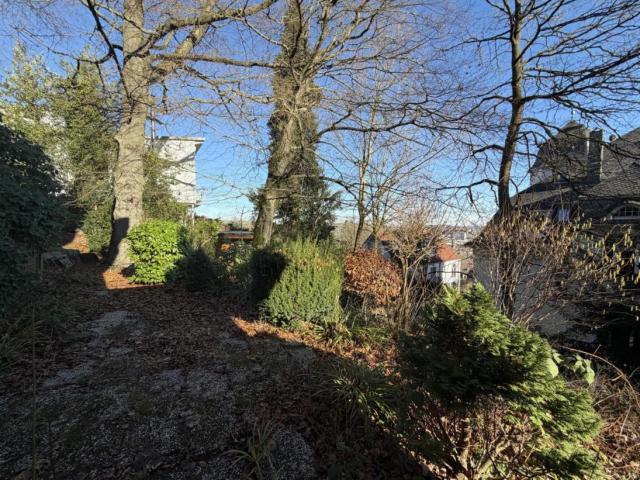 Ausblick in den Garten