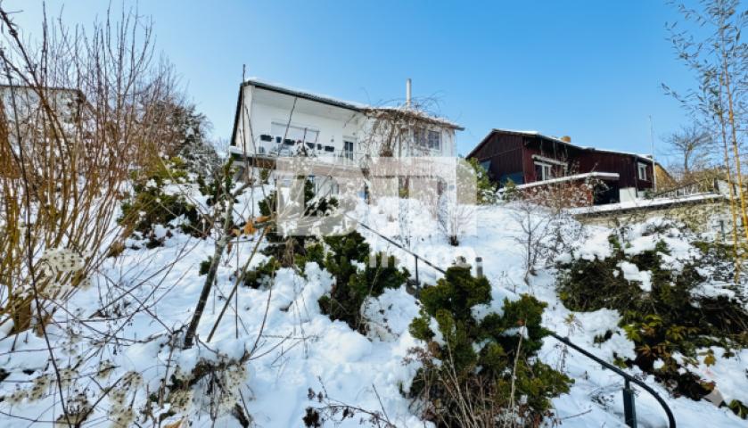 Zugang Wohnhaus / Treppenaufgang