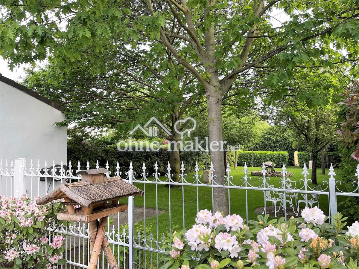 Blick in den Garten