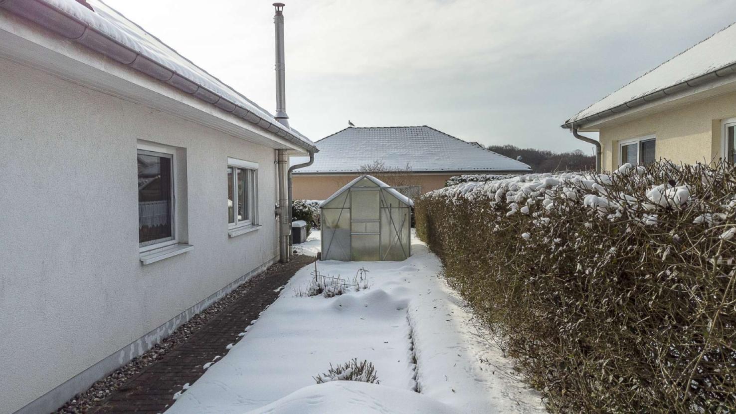 Garten & Gewächshaus