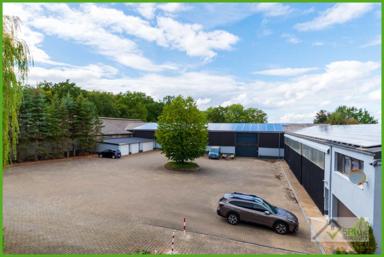 5Plus Immo Mietwohnung Eschweiler Bohler Heide Ausblick von OG Hofseite