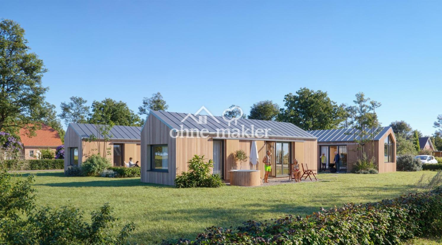 Visualisierung 1 Tiny House 