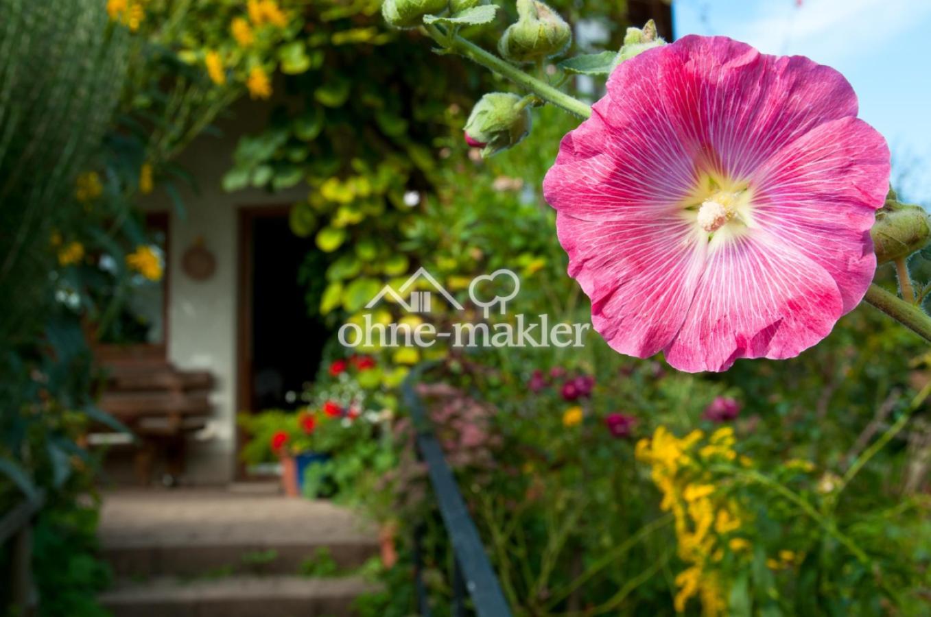 Haus 1 Terrassentür