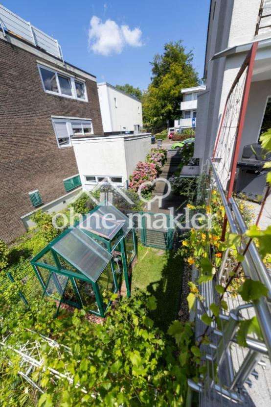 Blick Gewächshaus / 2. Eingang