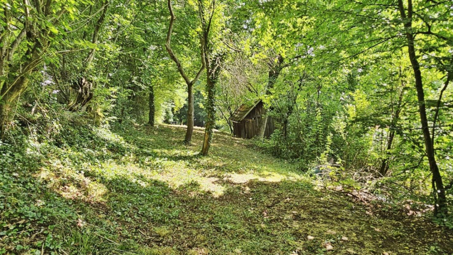 Fläche Mitte mit Hütte