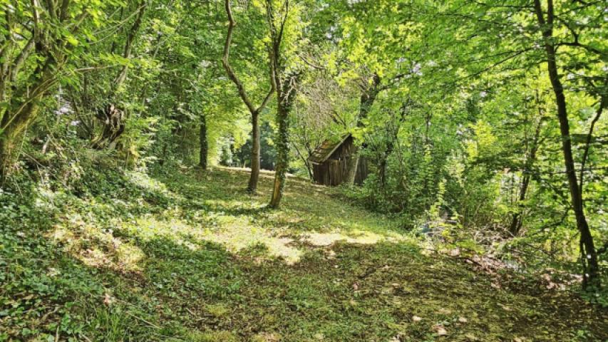 Fläche Mitte mit Hütte