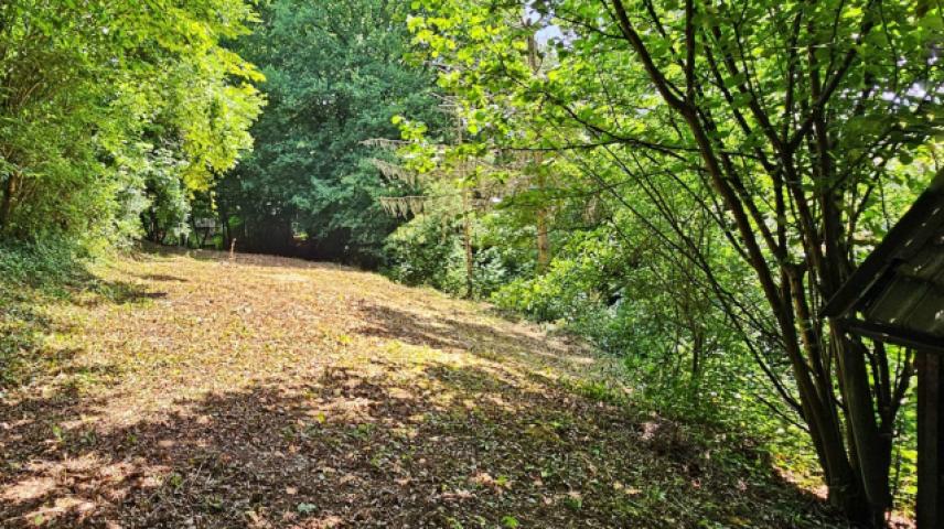 Fläche mittlerer Teil