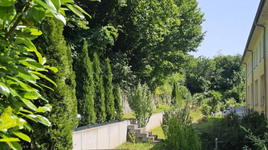 Grundstücksgrenze Mitte