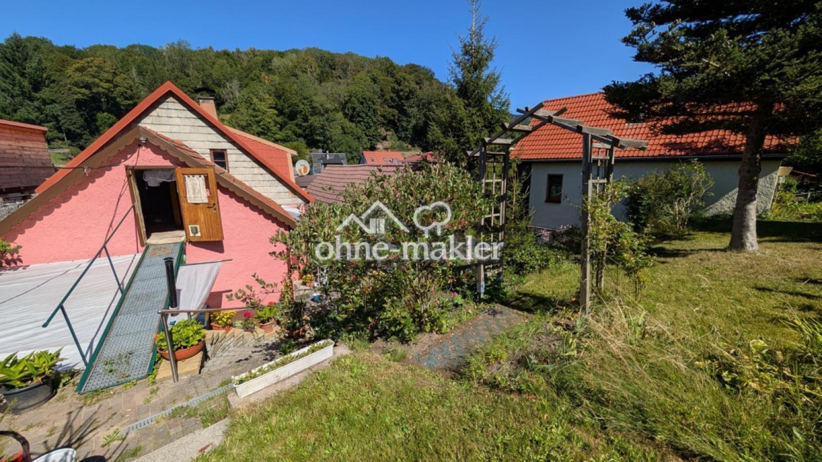 Übergang DG zum Garten