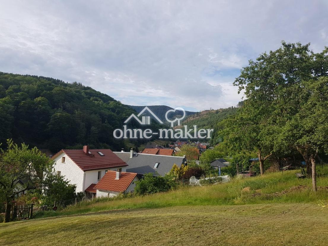 Blick zum Pochwerksgrund 