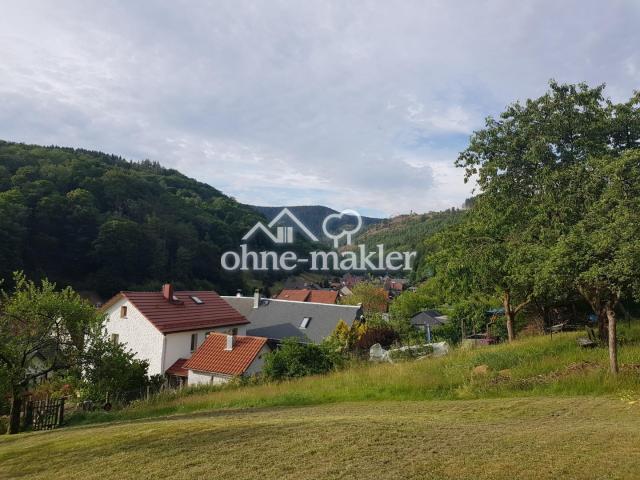 Blick zum Pochwerksgrund 