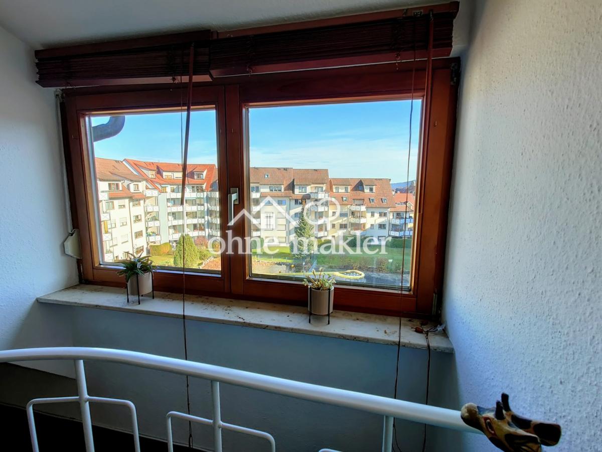 Blick v. Vorzimmer in den Park