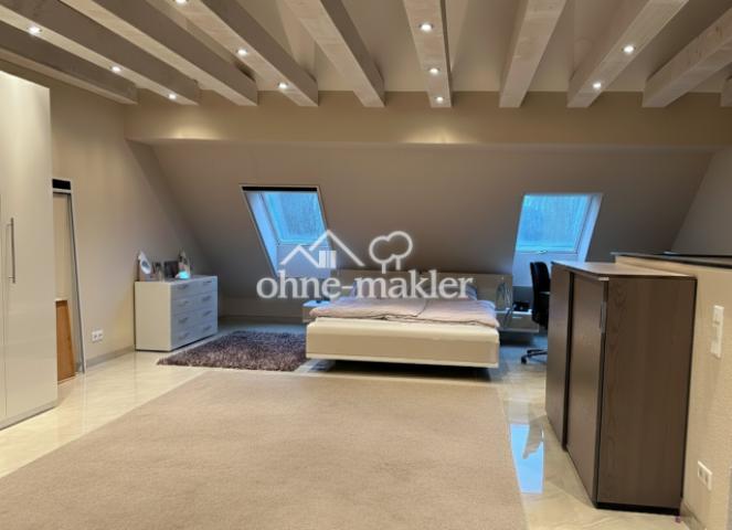 Dachstudio Ansicht 1