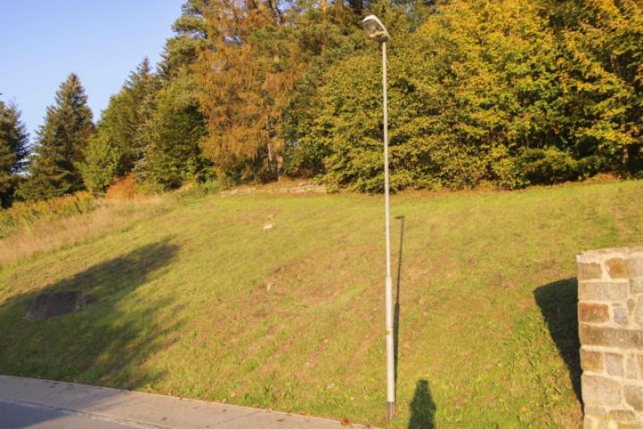Ansicht 4
