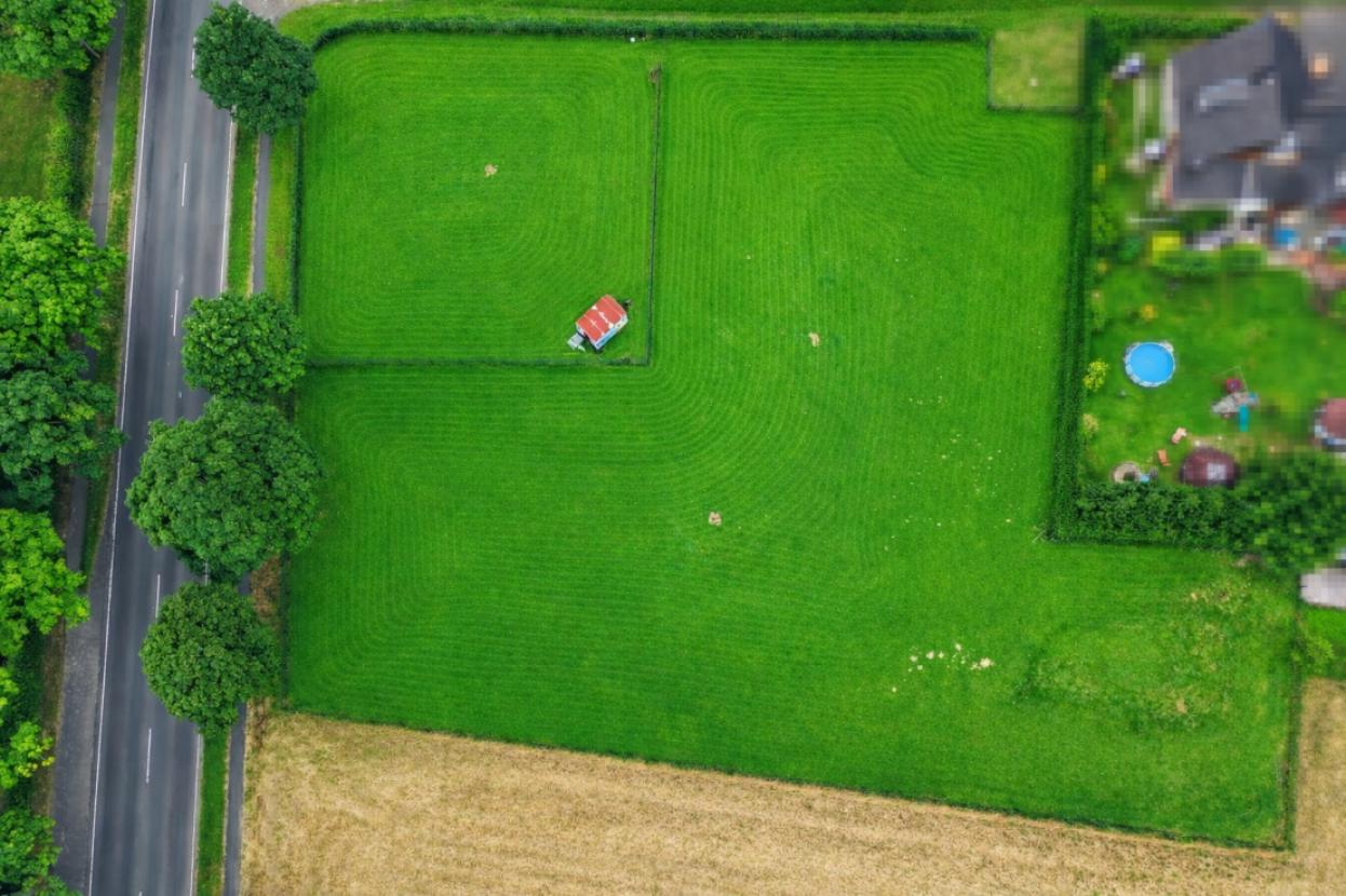 Grünfläche Luftbild