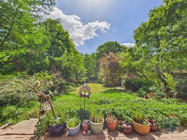 Ausblick von der Terrasse auf den Garten